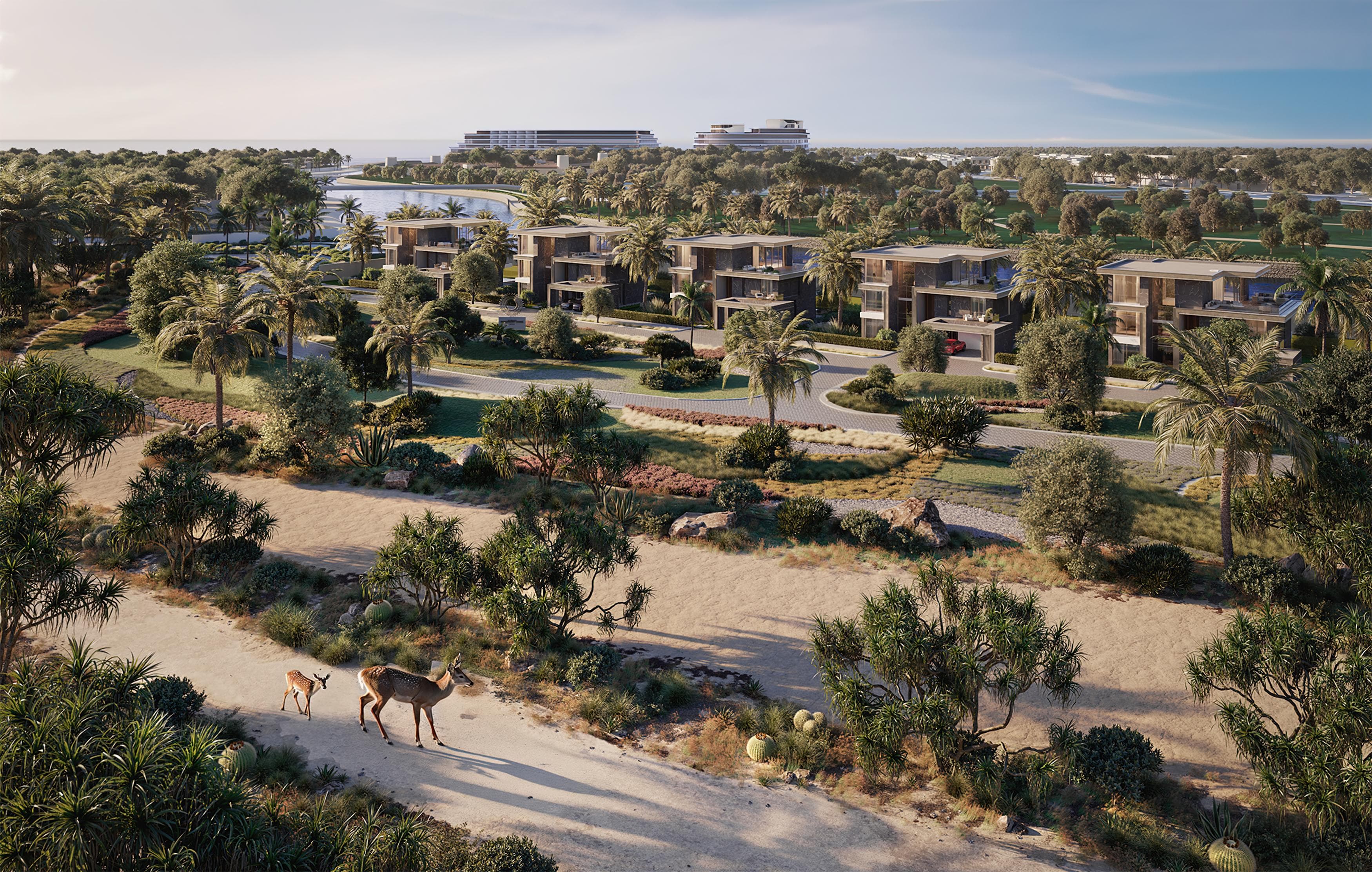 Ohana Development Jacob & Co Beachfront Living gallery 2